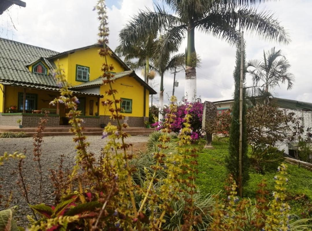 Finca Turistica Santa Clara Vandrerhjem Calarcá Eksteriør bilde