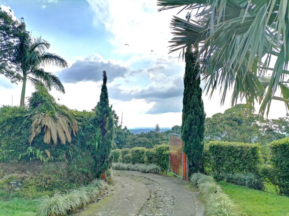 Finca Turistica Santa Clara Vandrerhjem Calarcá Eksteriør bilde